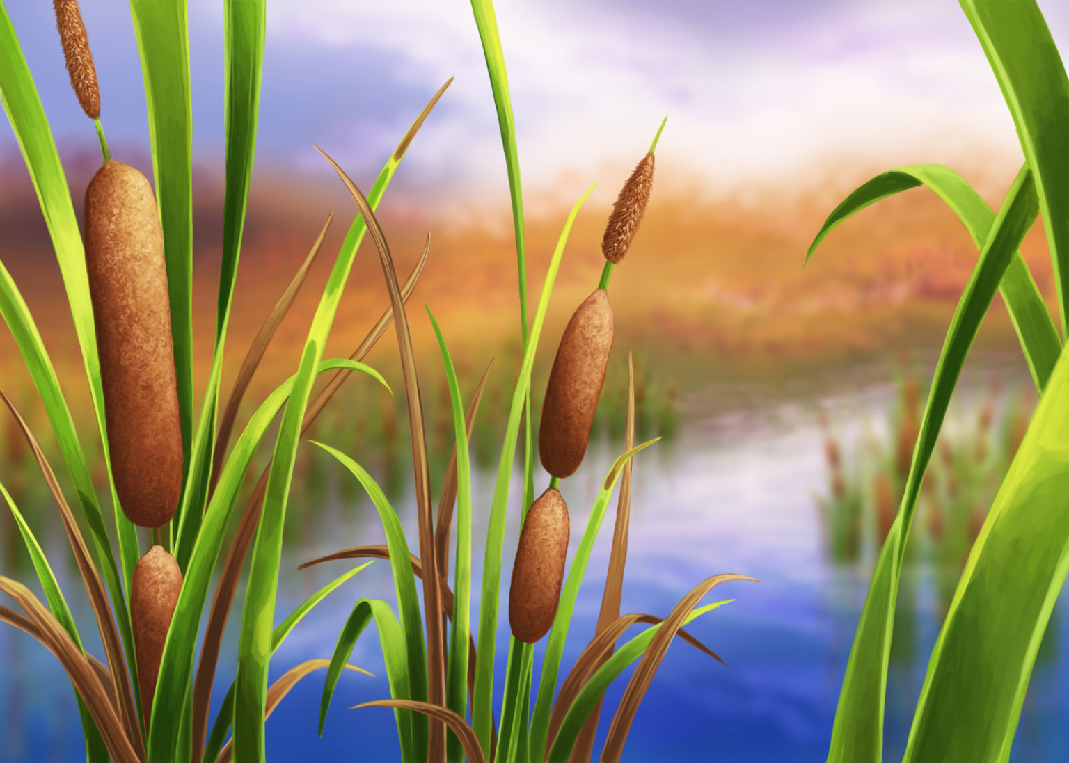 What Do Cattails Taste Like? Best Electric Skillet Guide