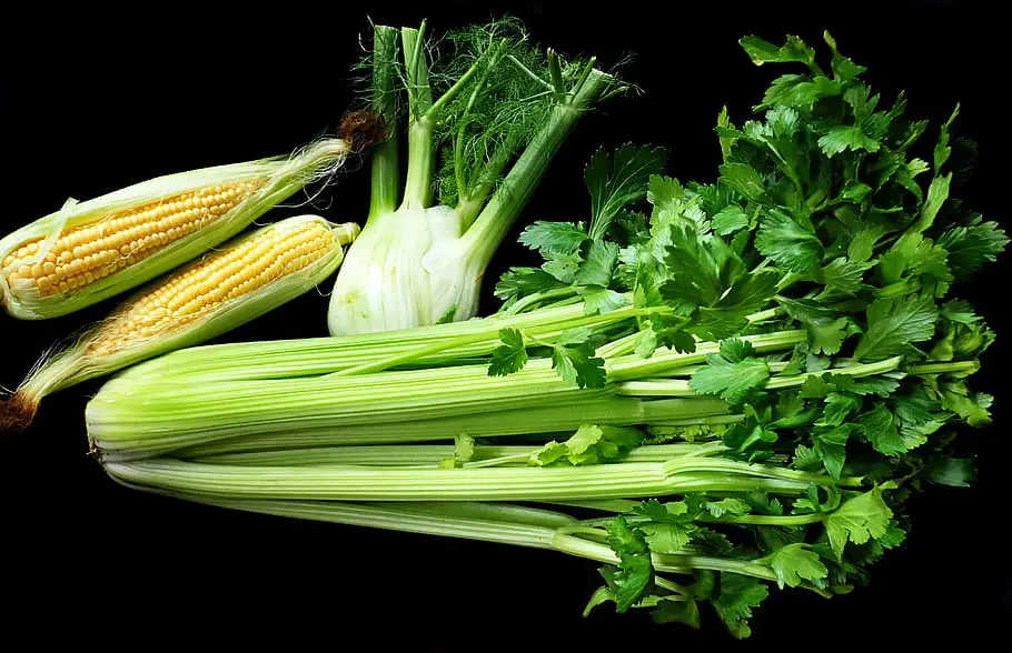 How Long Does Celery Juice Last In The Fridge?