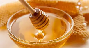 Is Honey Condiment? 