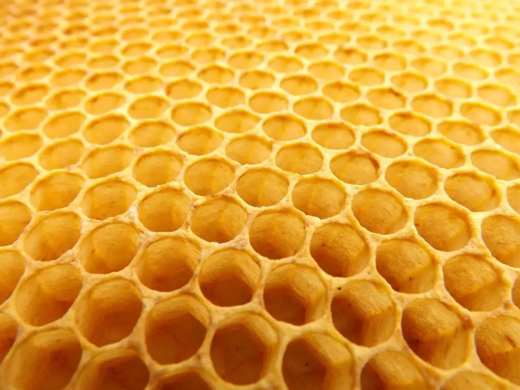 What Does Honeycomb Taste Like?
