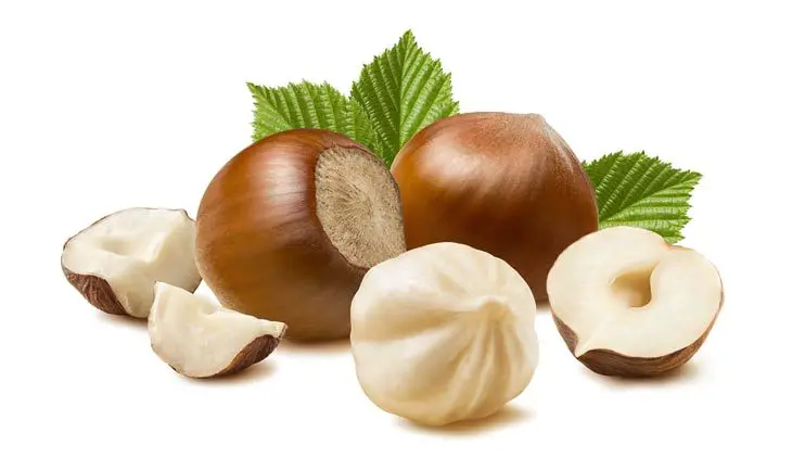 What does hazelnut taste like?