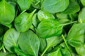 How Long Does Spinach Last 