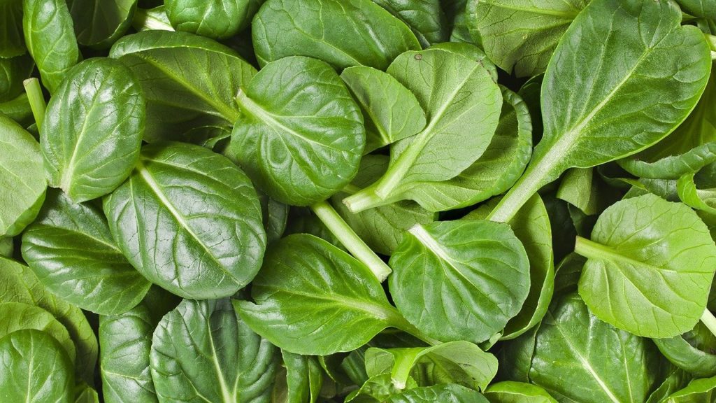 How Long Does Spinach Last
