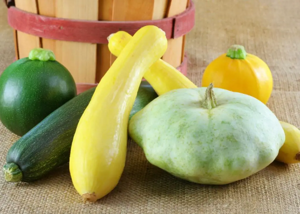 How Long Does Yellow Squash Last? 