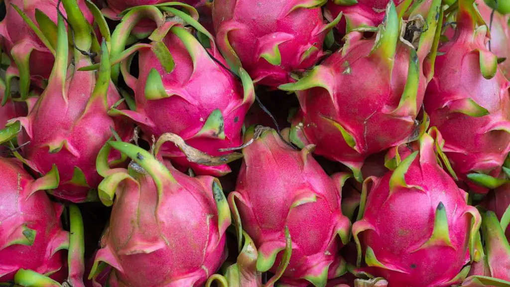Why Is Dragon Fruit so expensive?