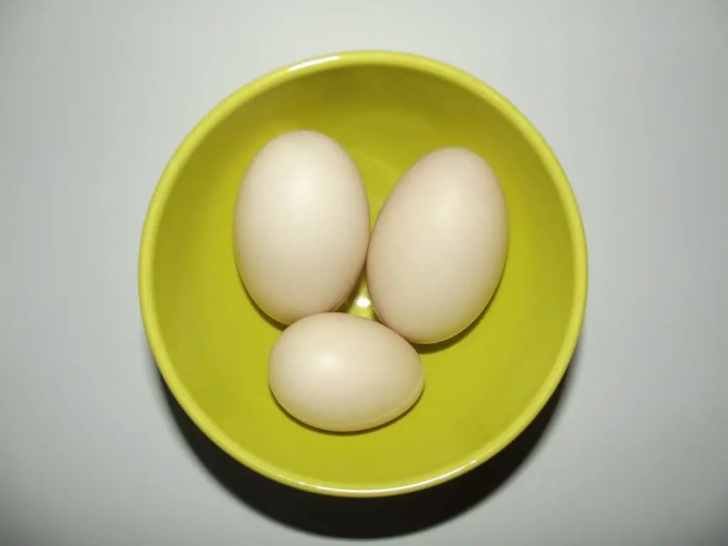 How Long Do Duck Eggs Last? 
