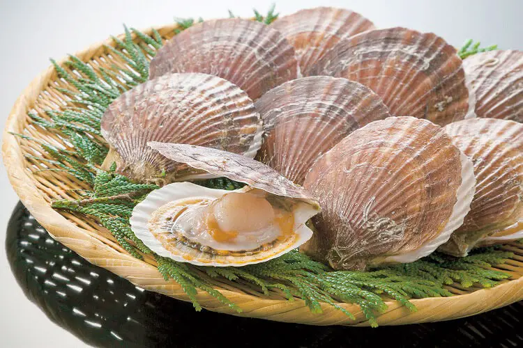 Why are Scallops So Expensive? 