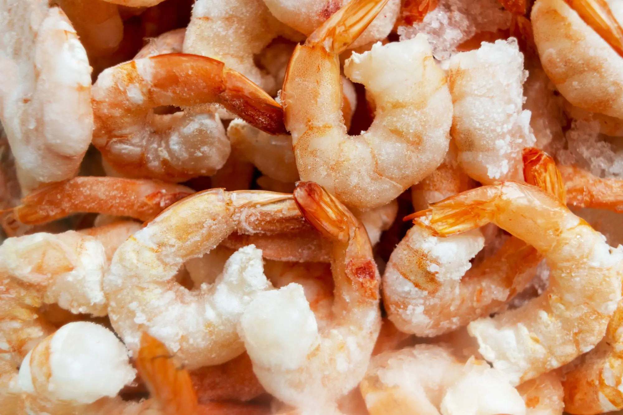 thawed shrimp