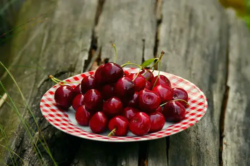 Why Are Cherries So Expensive? 