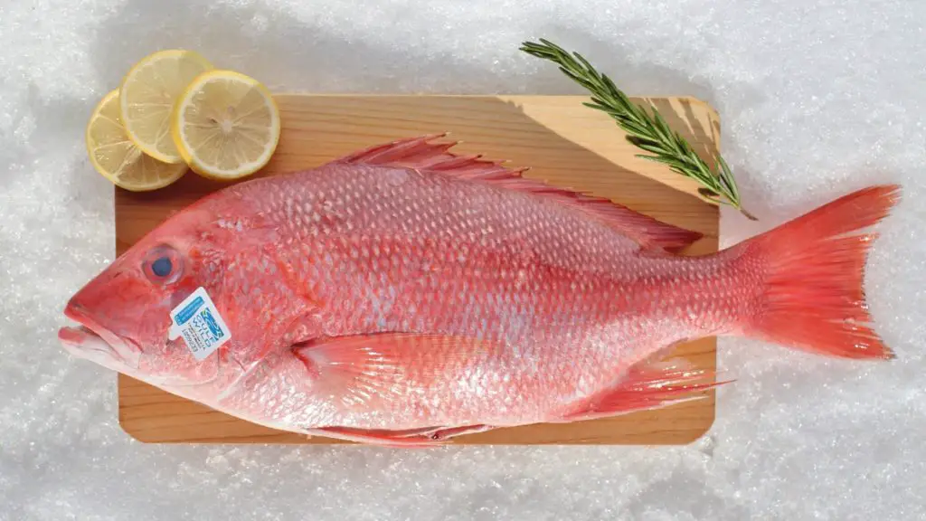 what does red snapper taste like