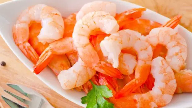 can you eat cooked shrimp cold