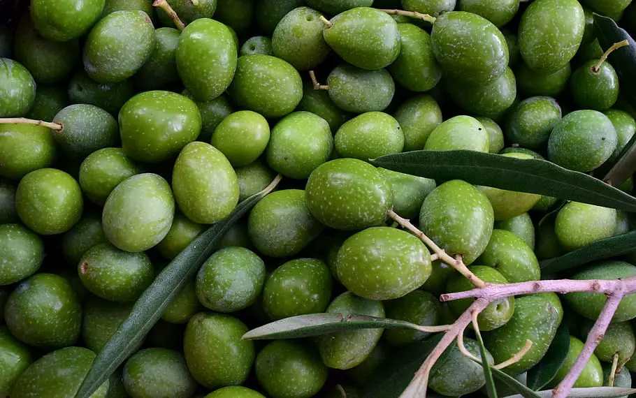Can you freeze olives?
