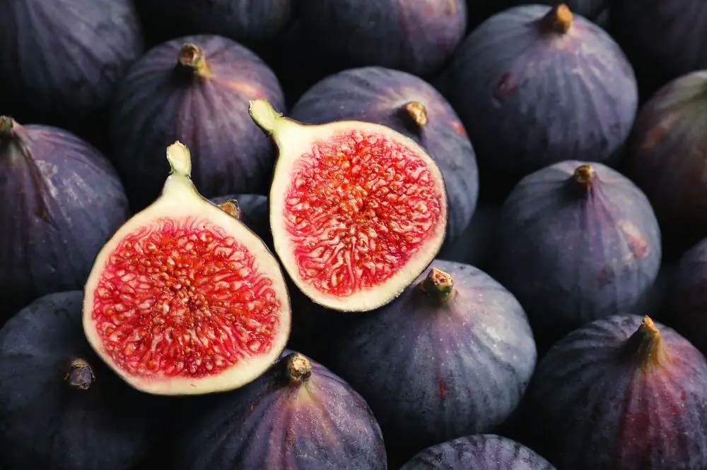 figs expensive