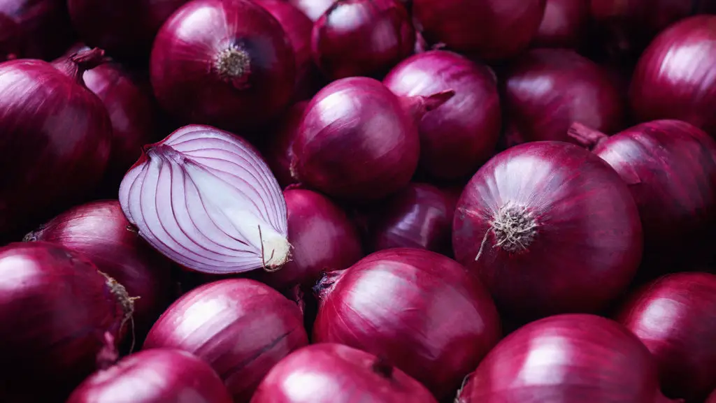 Why Are Red Onions Purple?