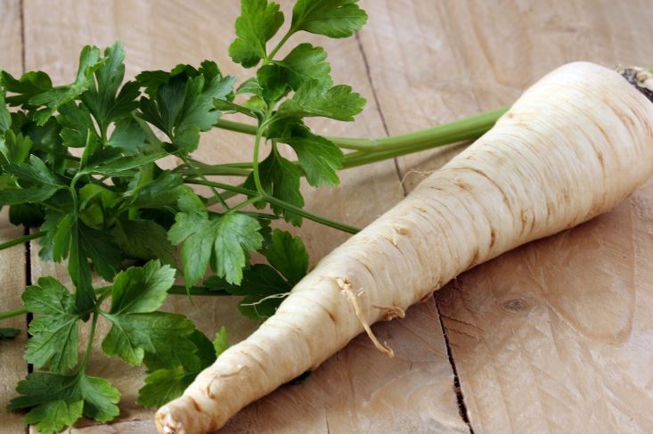 Horseradish Substitute - The 8 Best Options