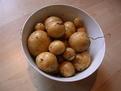 How Many Cups In a Pound Of Potatoes?