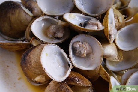 Can You Freeze Clams? All You Need To Know!