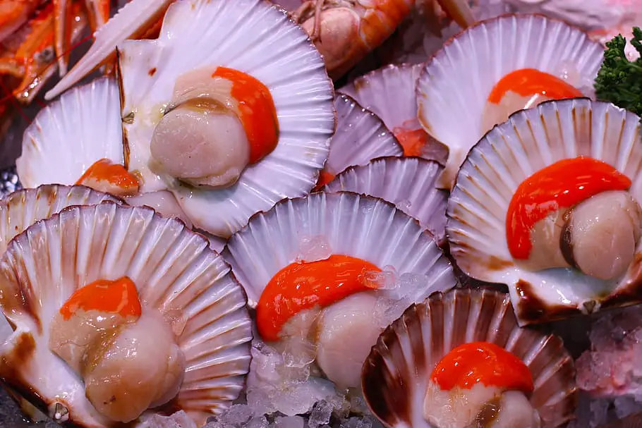 Can You Eat Scallops Raw? All You Need To Know!