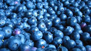 What Color Are Blueberries?