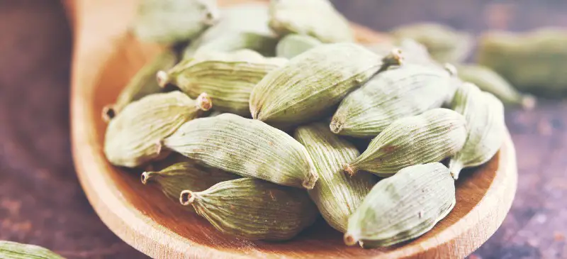 What Does Cardamom Smell Like? 