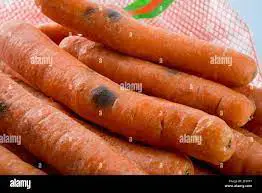 bad carrots