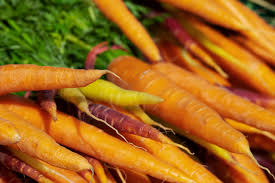 Is Carrot A Fruit Or Vegetable? 