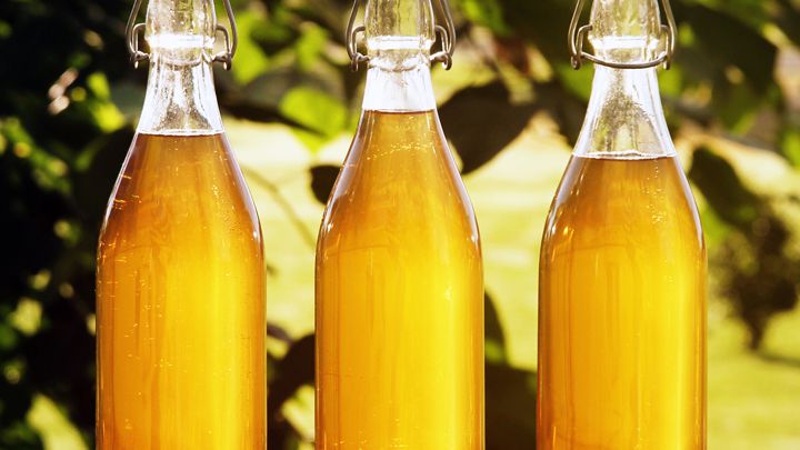 Does Mead Go Bad? How Long Does It Last?