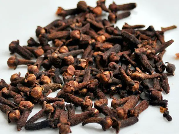 What Does Clove Smell Like?