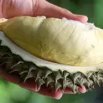 What Does Durian Taste Like?