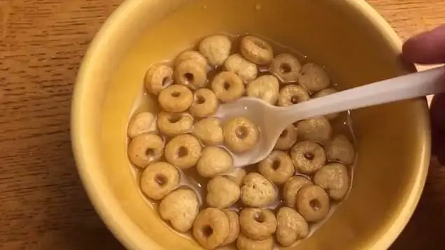 cereal with water
