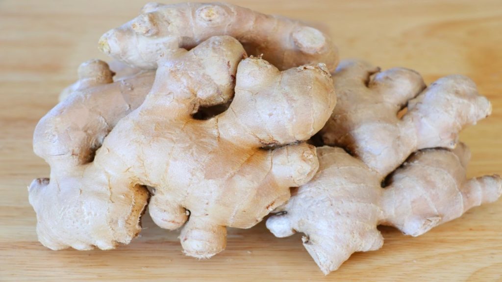 why-is-my-ginger-plant-dying-causes-and-solutions-2022