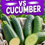 zucchin ivs cucumber